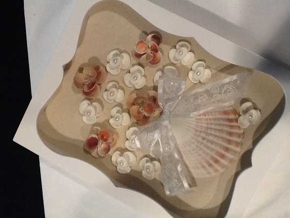 seashell shadowbox
