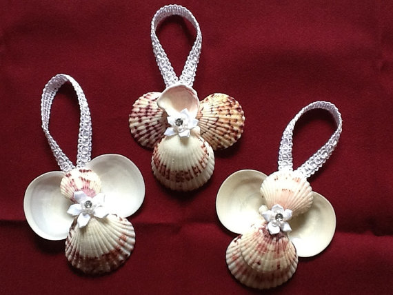 seashell angels